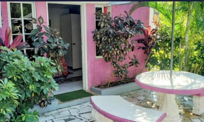 Pink Hibiscus Bed And Breakfast Montego Bay Luaran gambar