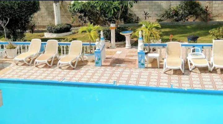 Pink Hibiscus Bed And Breakfast Montego Bay Luaran gambar