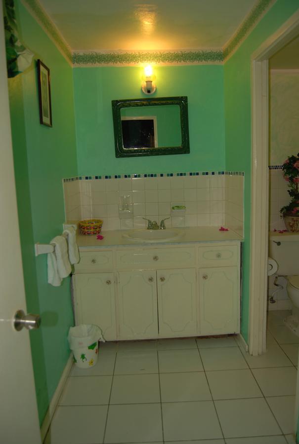 Pink Hibiscus Bed And Breakfast Montego Bay Luaran gambar
