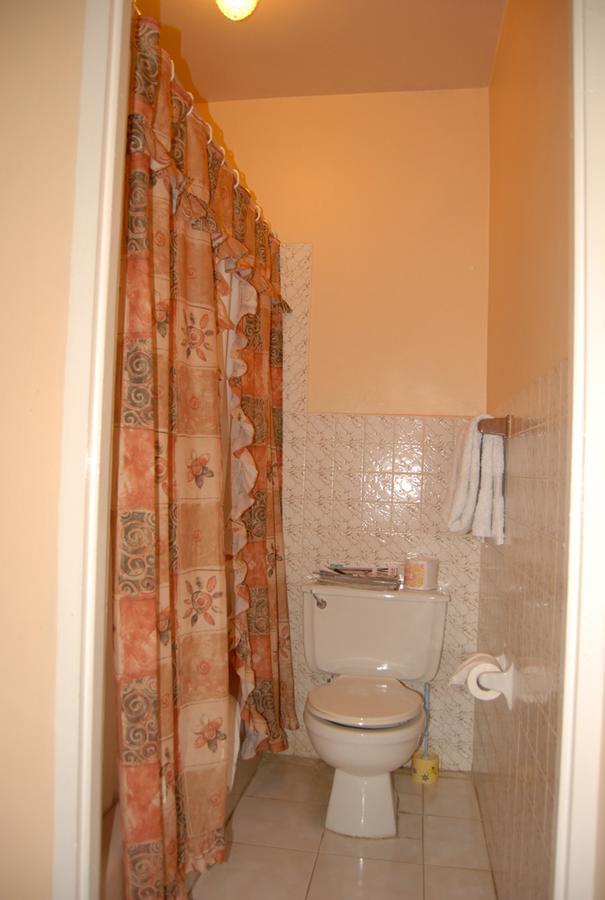 Pink Hibiscus Bed And Breakfast Montego Bay Luaran gambar