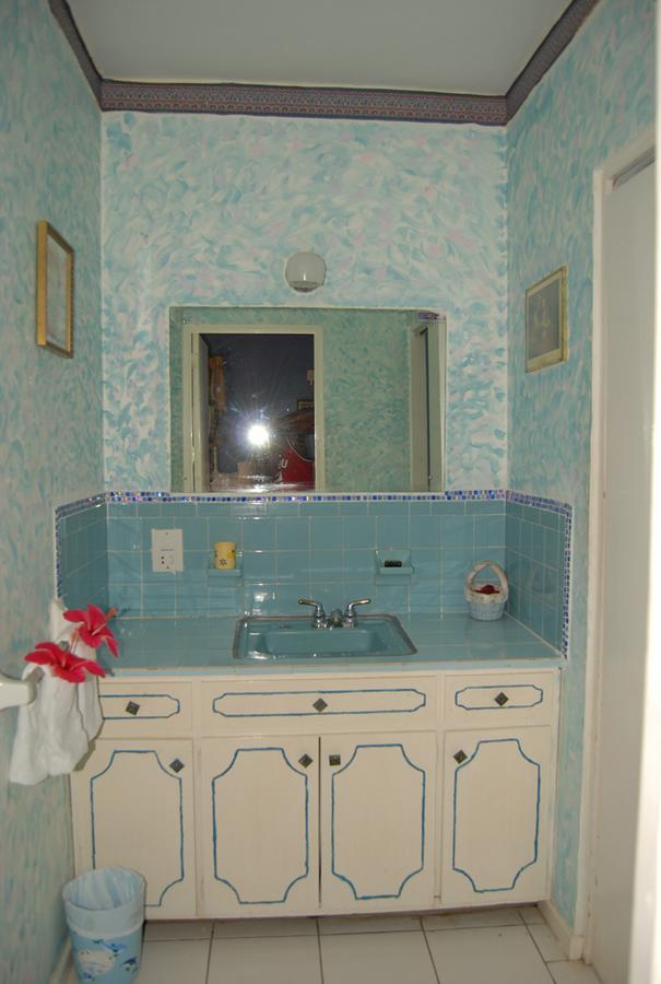 Pink Hibiscus Bed And Breakfast Montego Bay Luaran gambar